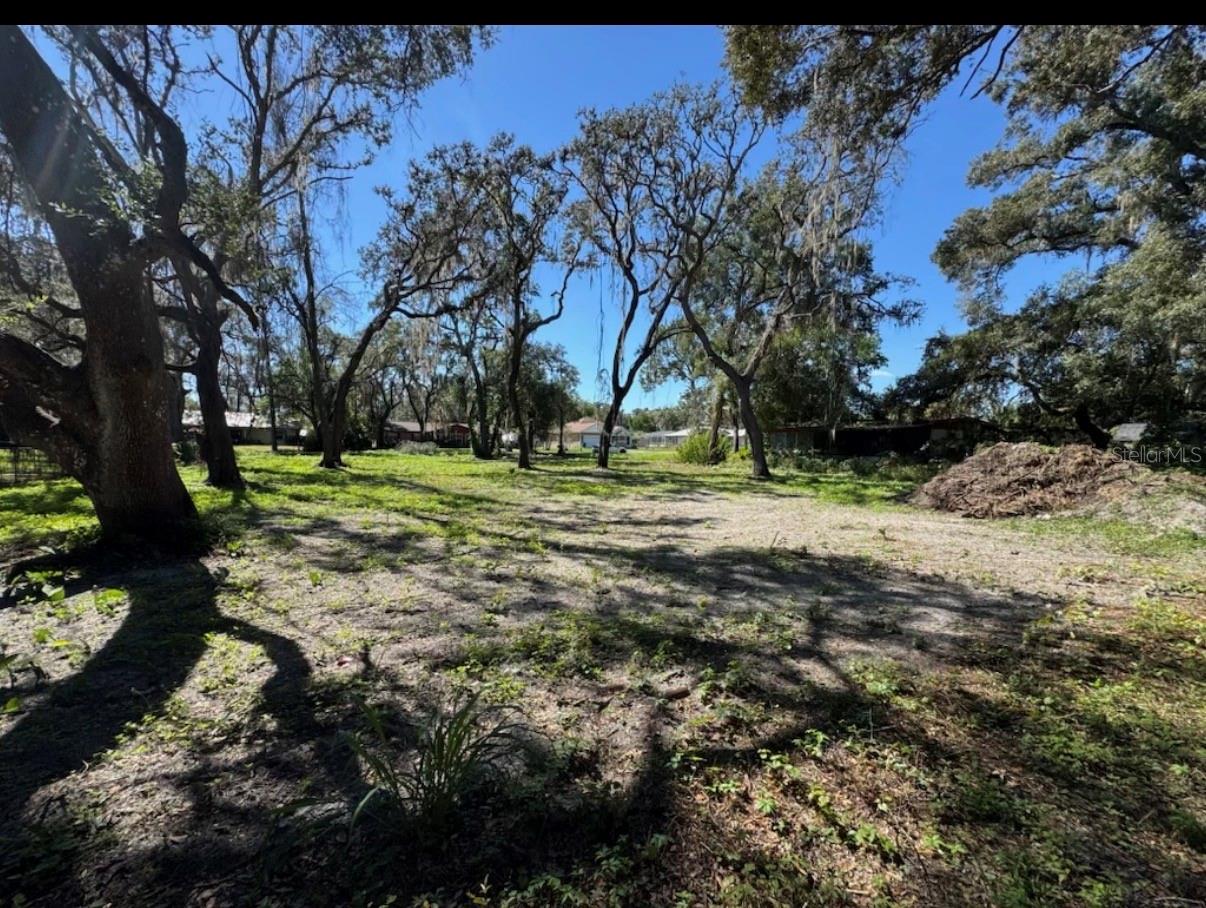 34779 HIBISCUS DR, DADE CITY, FL — photo 4