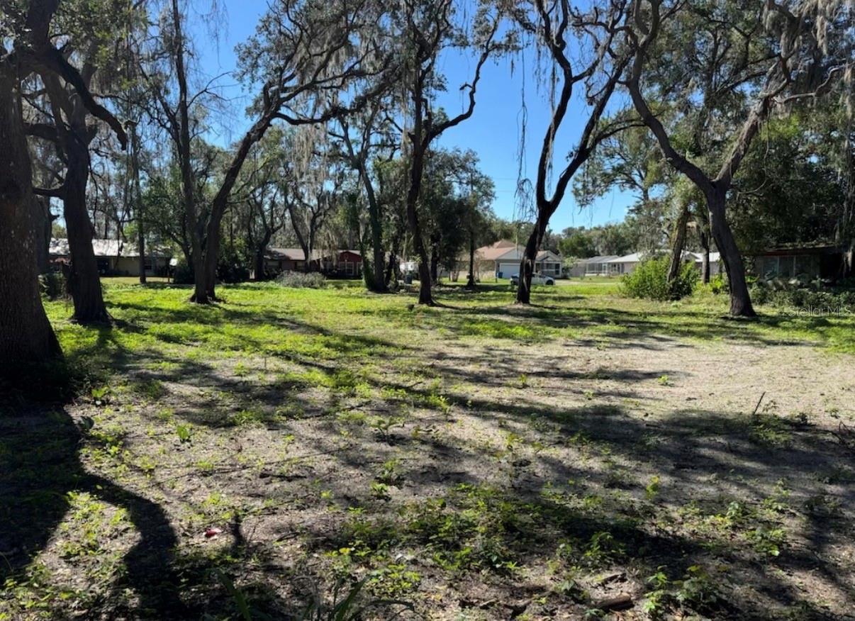 34779 HIBISCUS DR, DADE CITY, FL — photo 5