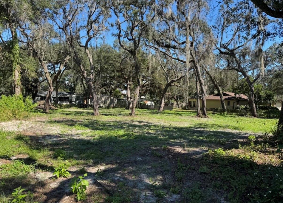 34779 HIBISCUS DR, DADE CITY, FL — photo 8