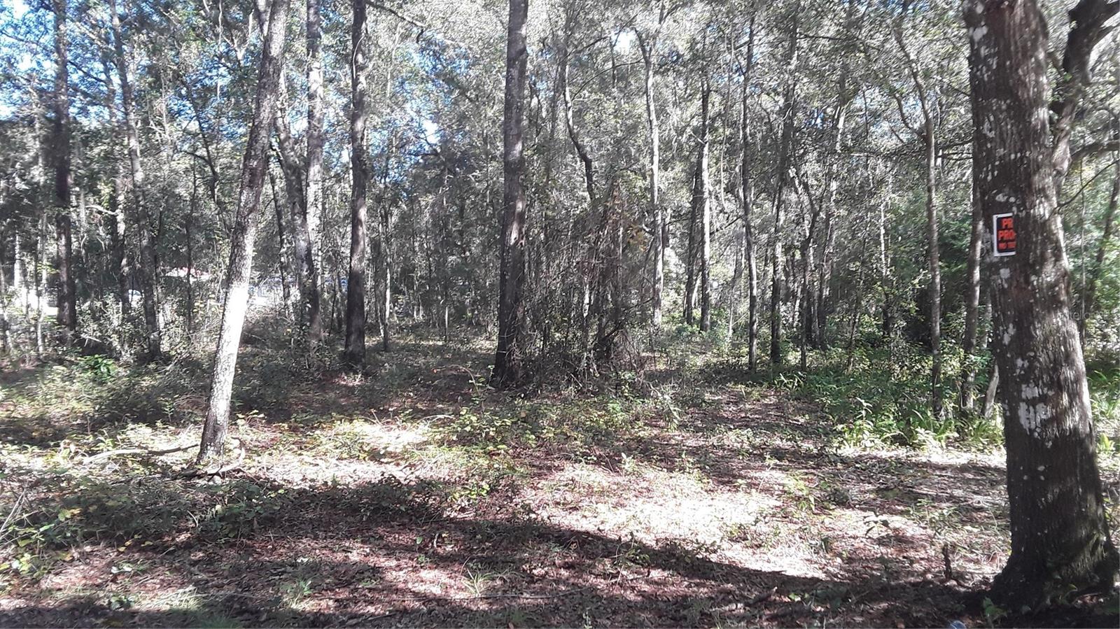 SW 202 AVE, DUNNELLON, FL