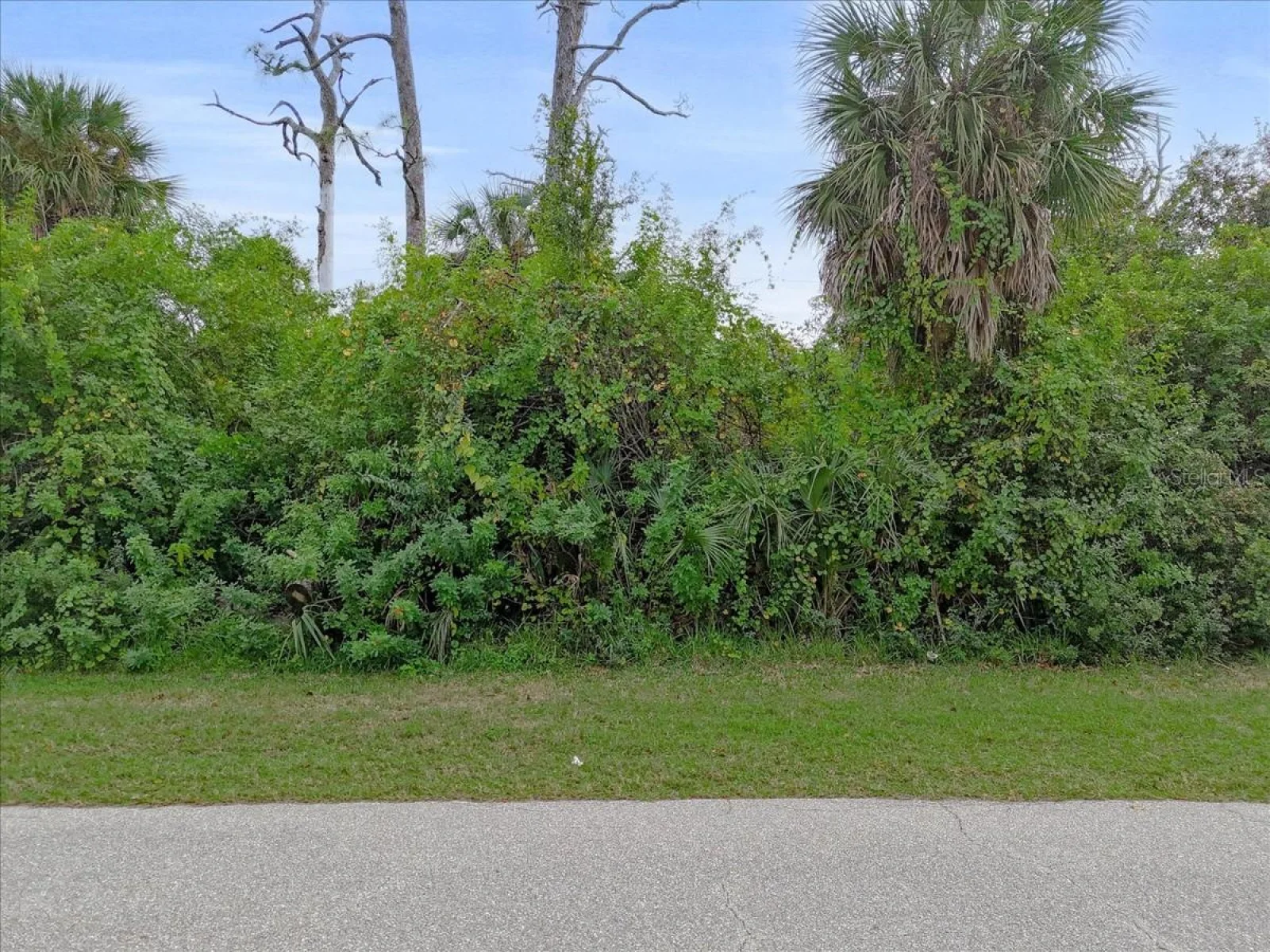 11947 HELICON AVE, PORT CHARLOTTE, FL — photo 4