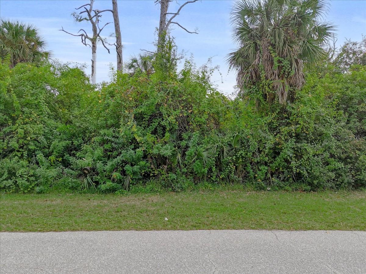 11947 HELICON AVE, PORT CHARLOTTE, FL — photo 3