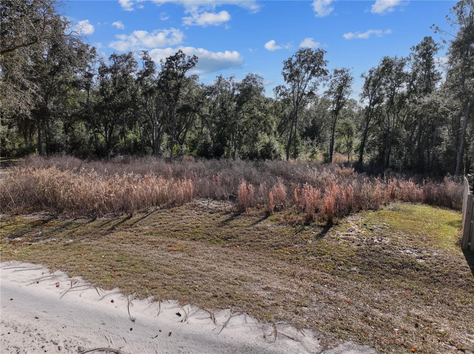 , BRONSON, FL — photo 4