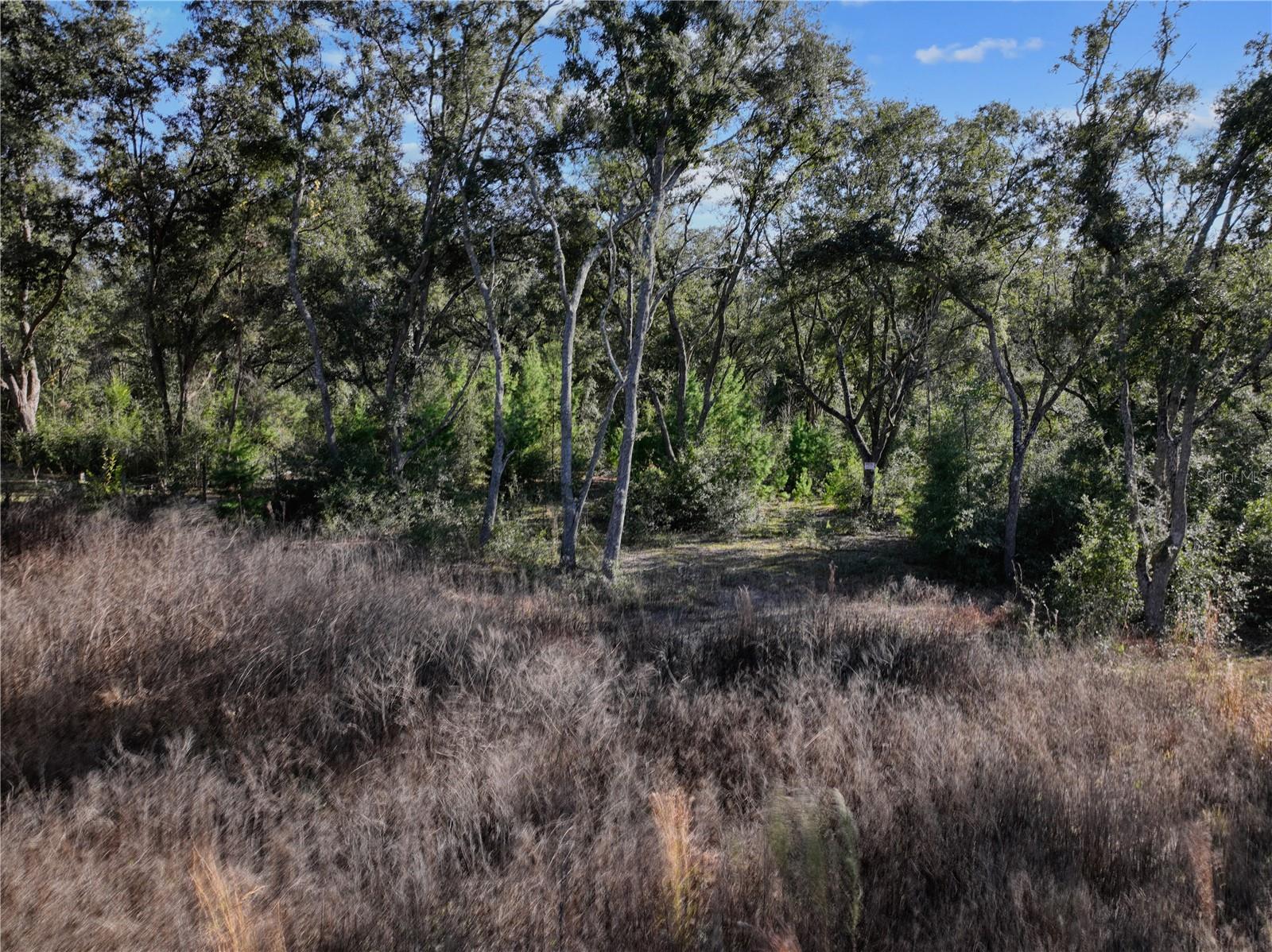 , BRONSON, FL — photo 5