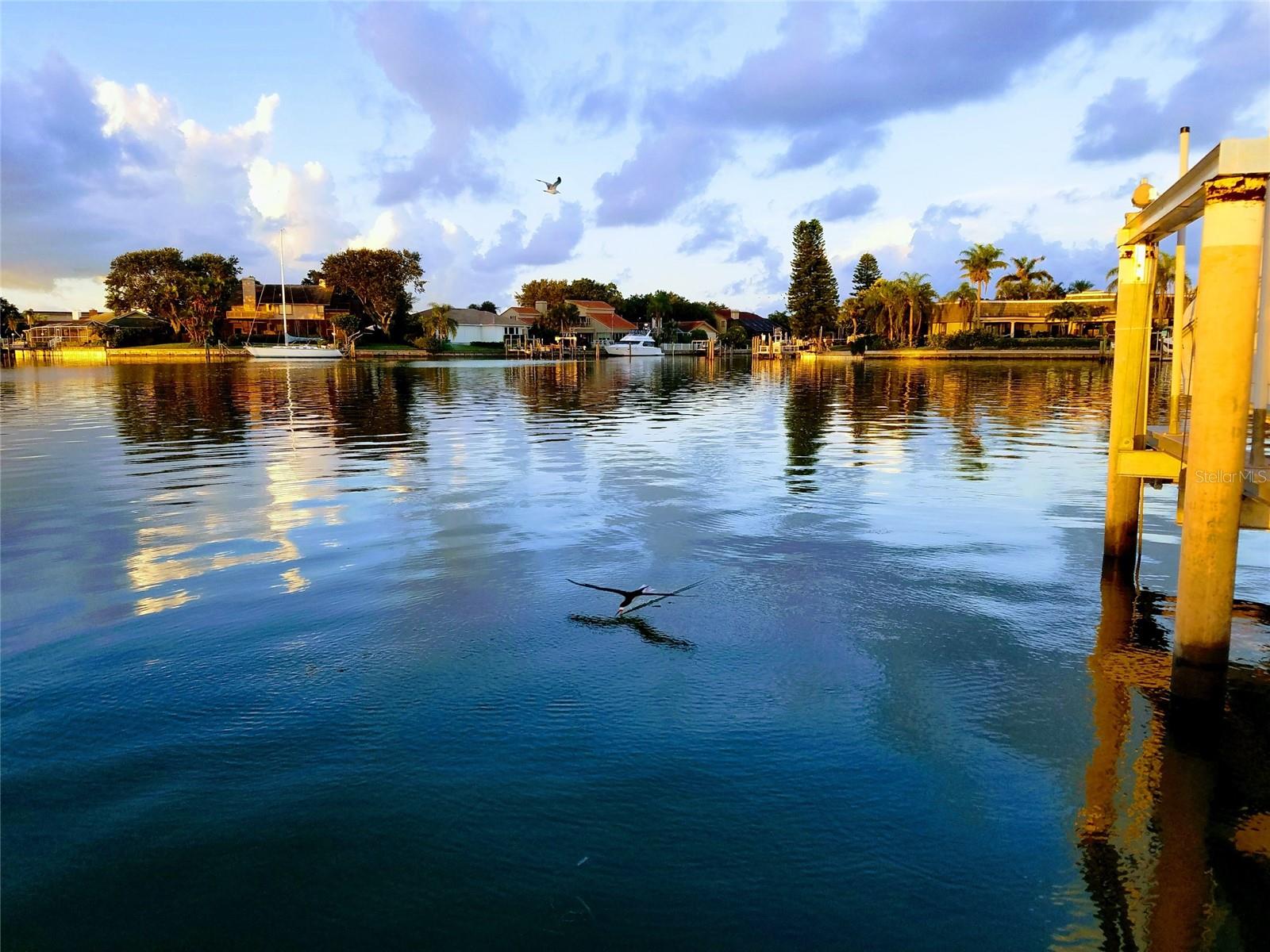 6 ACADEMY WAY S #23A, ST PETERSBURG, FL — photo 35