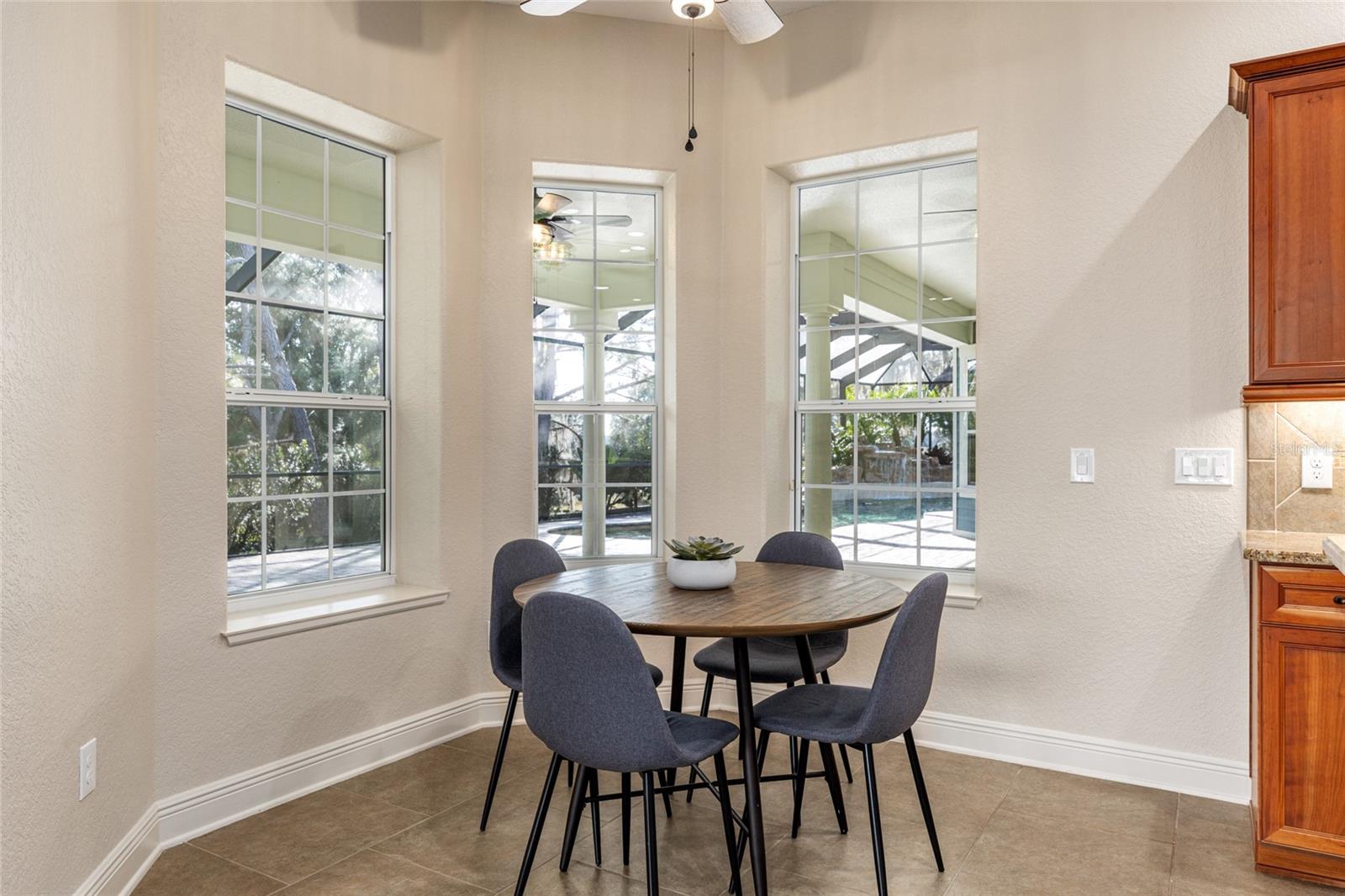 1568 BLACK LAKE DR, THE VILLAGES, FL — photo 49