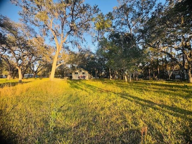 17476 NICHOLAS AVE, BROOKSVILLE, FL — photo 2