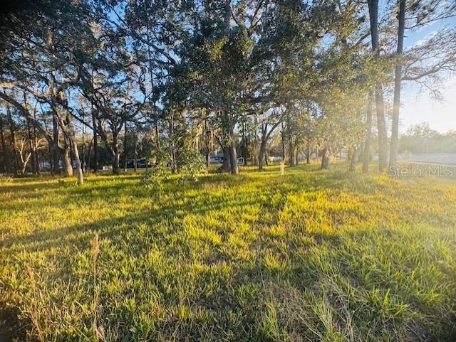17476 NICHOLAS AVE, BROOKSVILLE, FL — photo 3