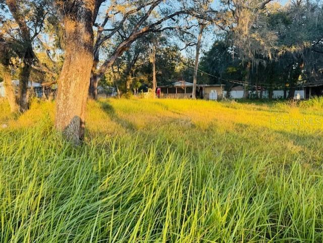 17476 NICHOLAS AVE, BROOKSVILLE, FL — photo 8