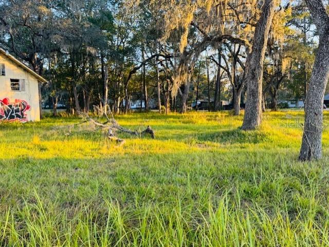 17476 NICHOLAS AVE, BROOKSVILLE, FL — photo 10