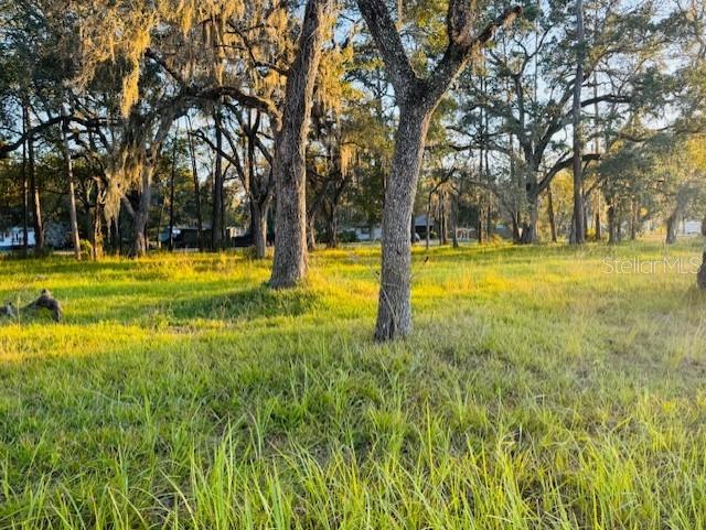 17476 NICHOLAS AVE, BROOKSVILLE, FL — photo 11