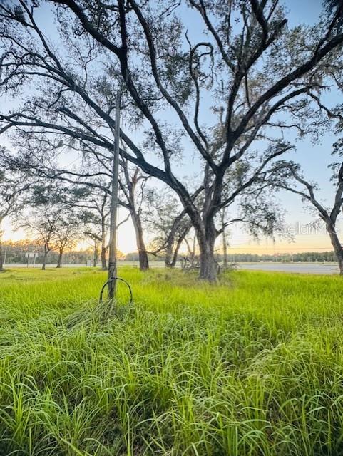 17476 NICHOLAS AVE, BROOKSVILLE, FL — photo 33