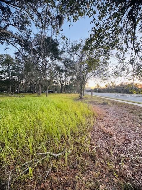 17476 NICHOLAS AVE, BROOKSVILLE, FL — photo 37