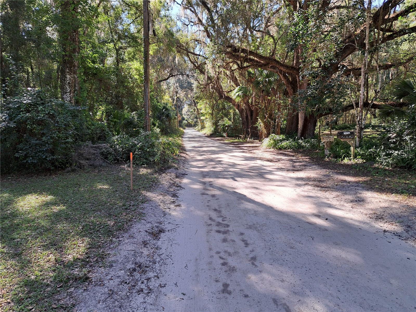 0 SW 17TH TER, GAINESVILLE, FL — photo 5