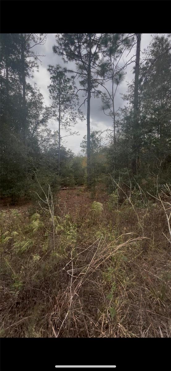 0 SW 21 PL, OCALA, FL