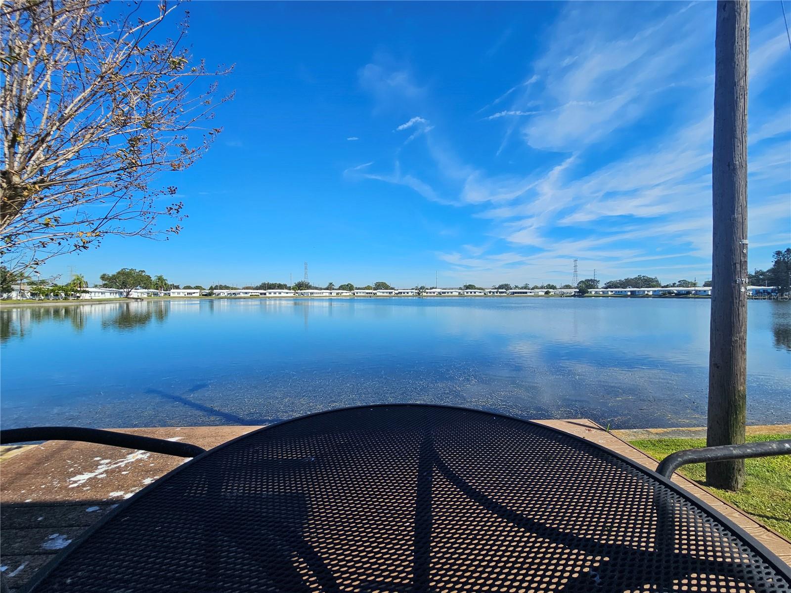 9705 MAINLANDS BLVD W, PINELLAS PARK, FL — photo 10