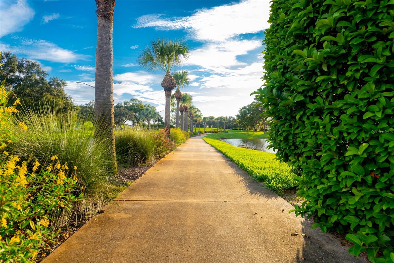 9316 GENTLE BEN CT, WEEKI WACHEE, FL — photo 53
