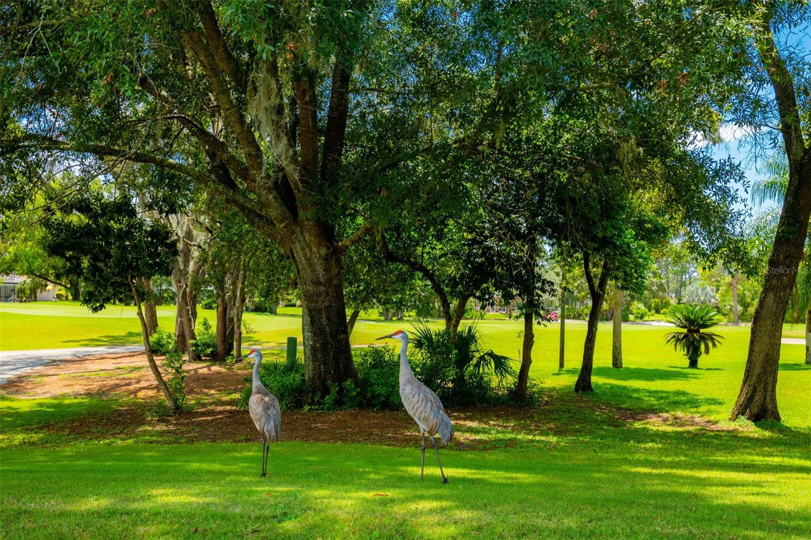 9316 GENTLE BEN CT, WEEKI WACHEE, FL — photo 61