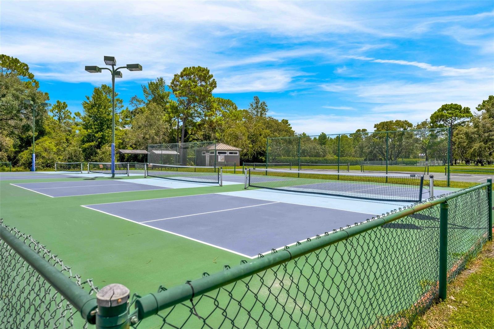 9316 GENTLE BEN CT, WEEKI WACHEE, FL — photo 66