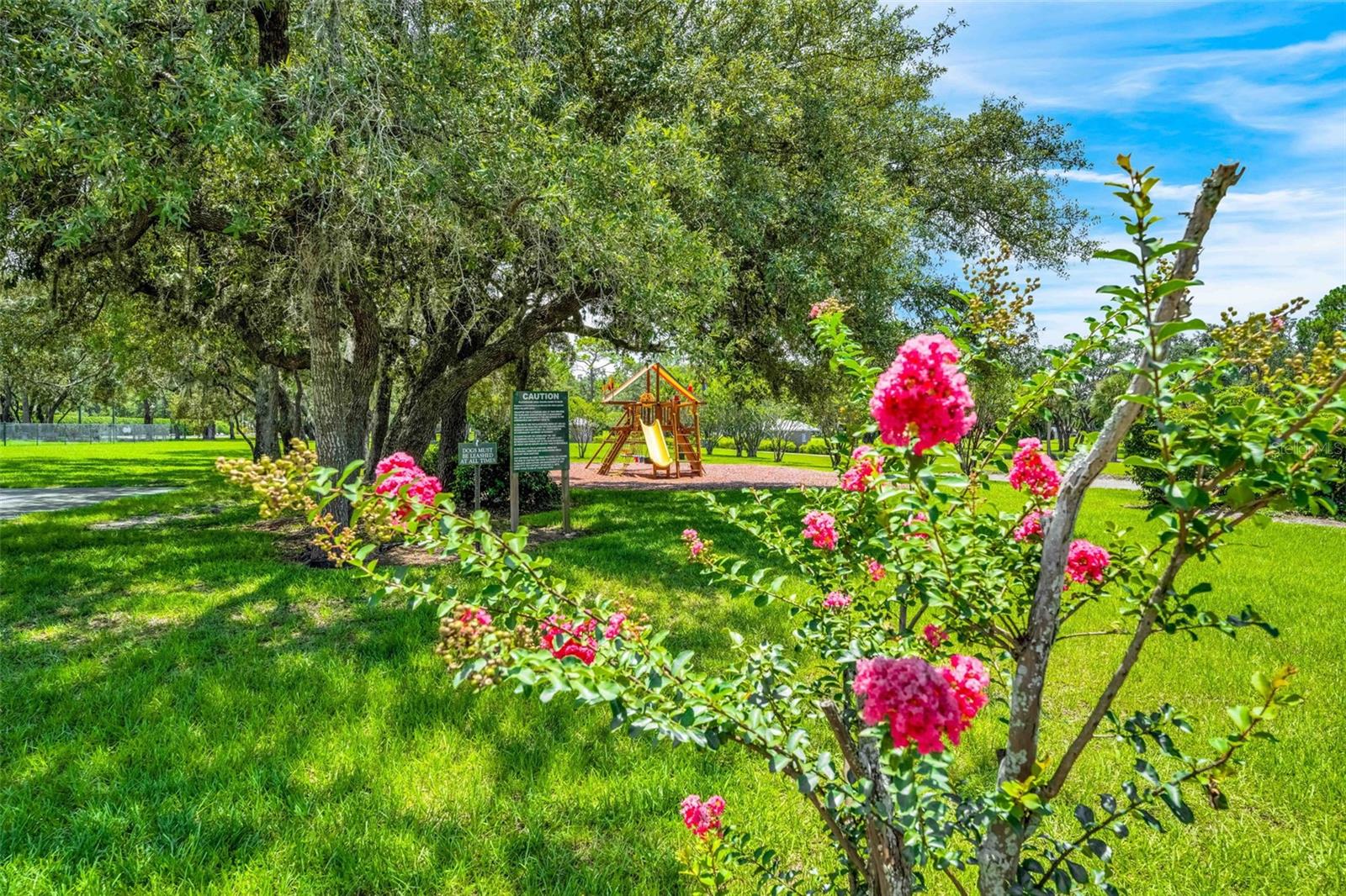 9316 GENTLE BEN CT, WEEKI WACHEE, FL — photo 68