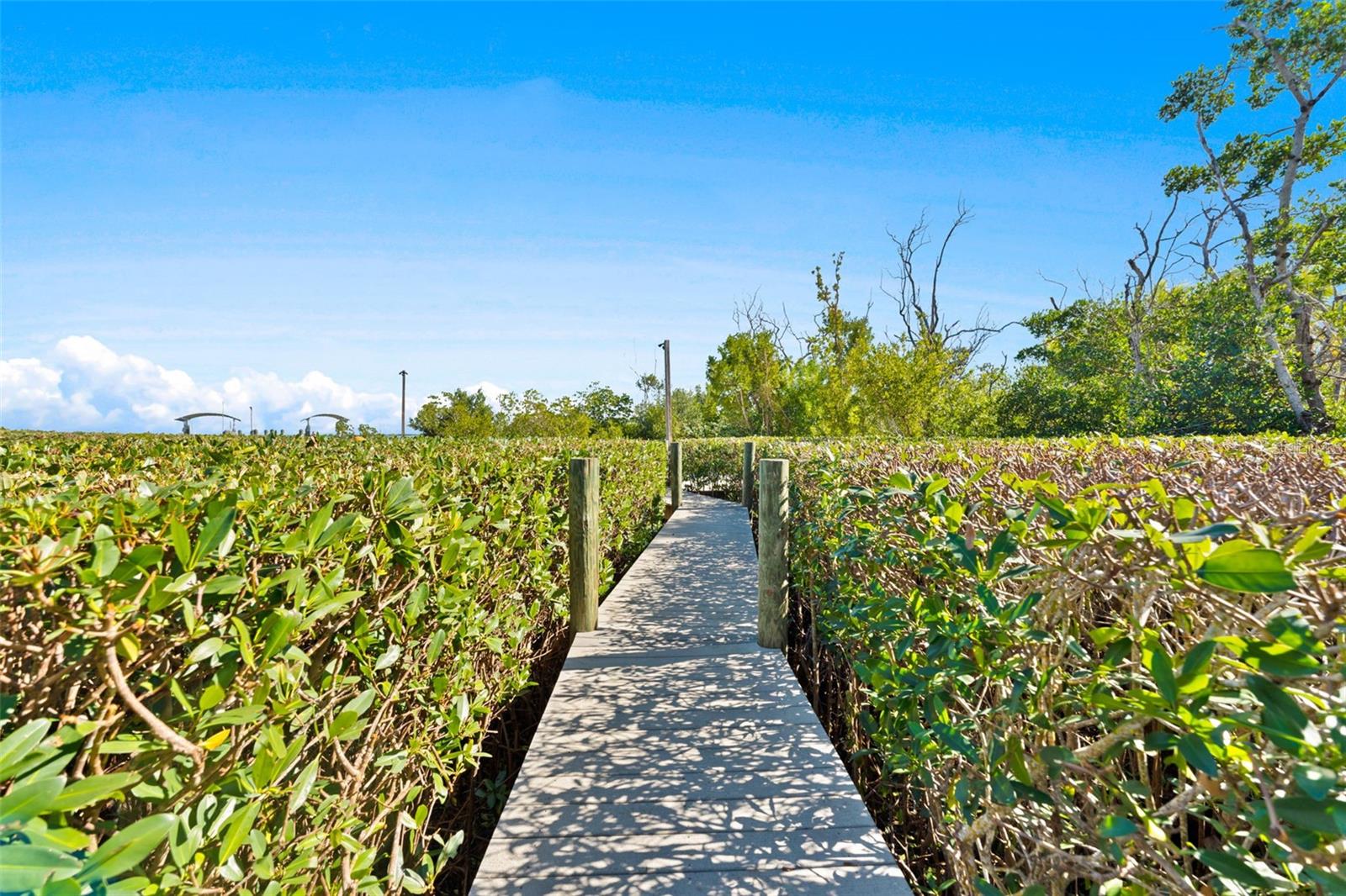 4150 SNAIL ISLAND CT, BOCA GRANDE, FL — photo 143