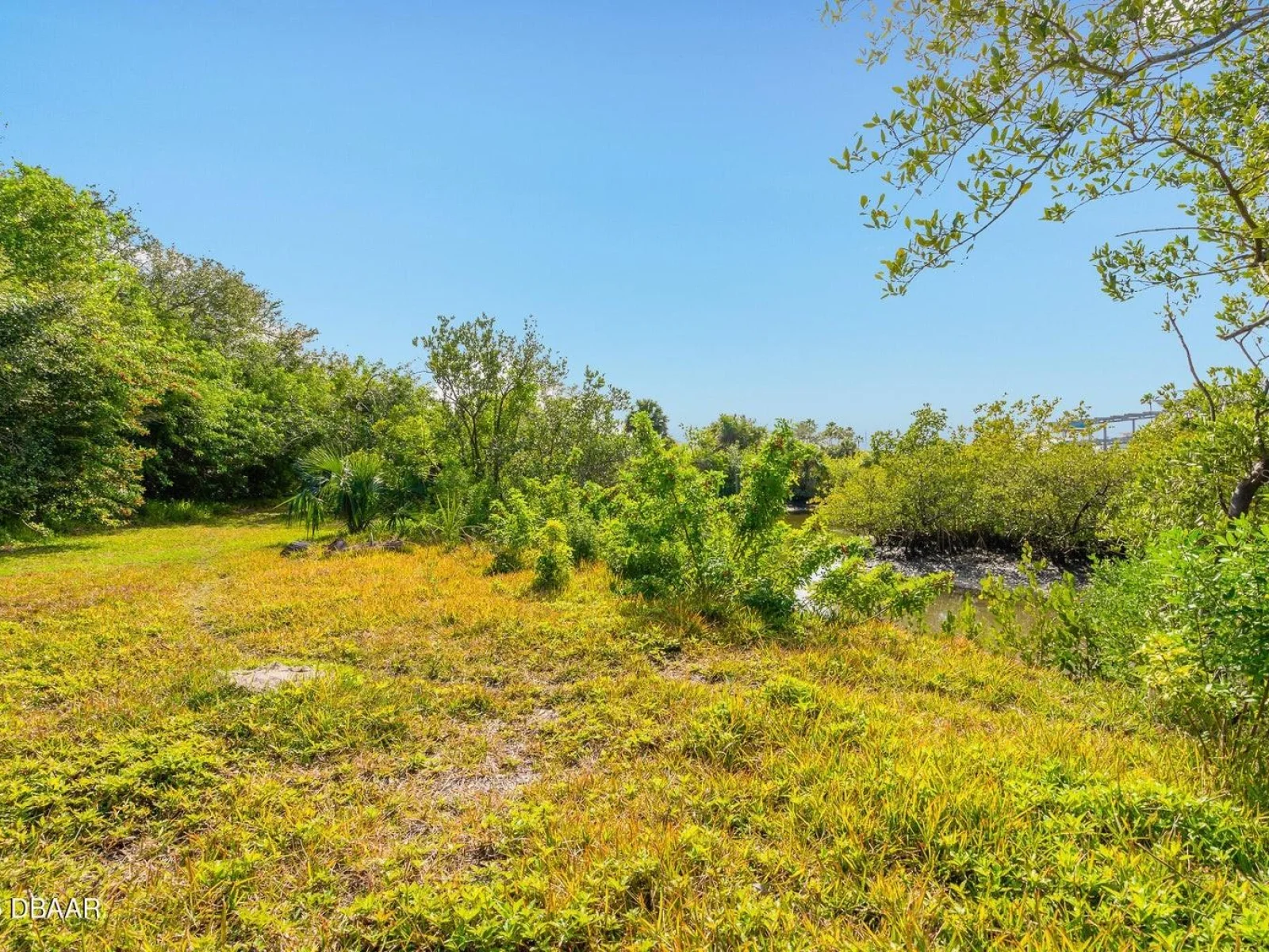 4770 S PENINSULA DR, PONCE INLET, FL — photo 11