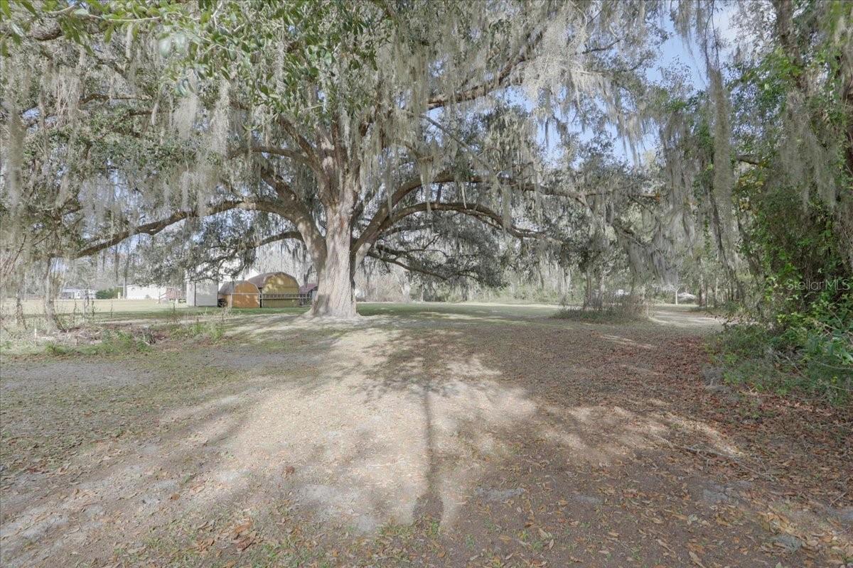 5336 SW COUNTY ROAD 791, LAKE BUTLER, FL — photo 22