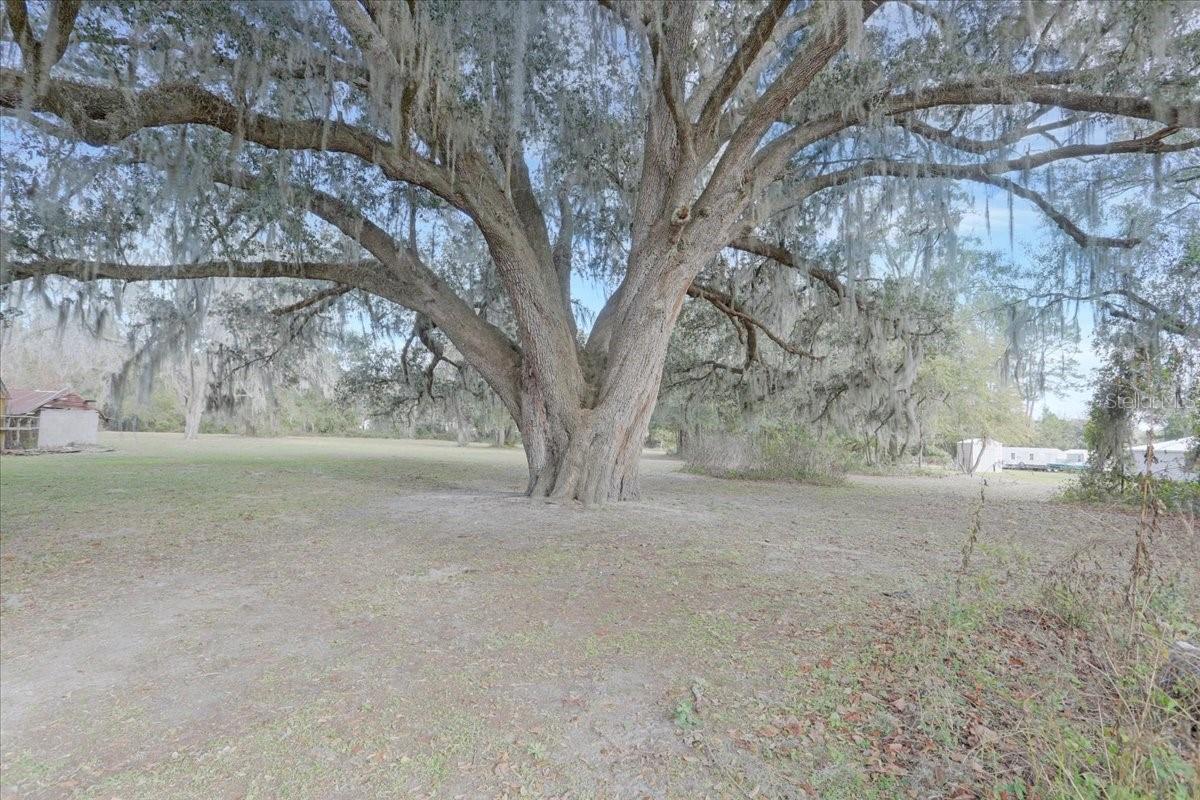 5336 SW COUNTY ROAD 791, LAKE BUTLER, FL — photo 25