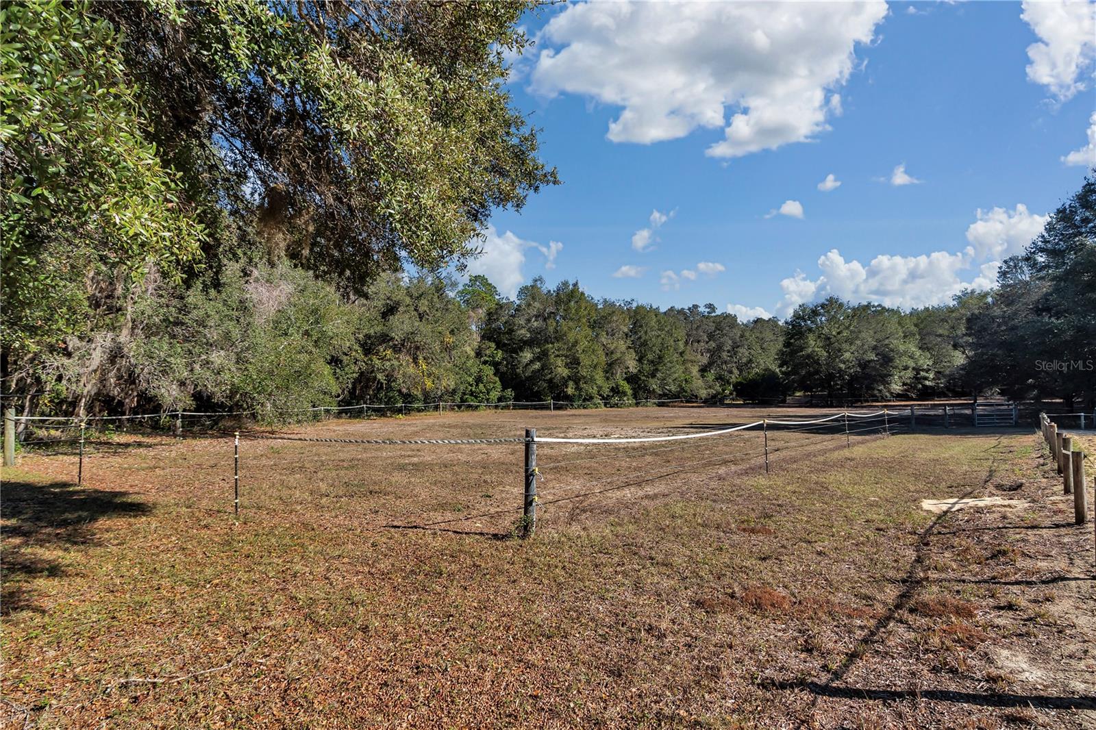 11375 N CIRCLE M AVE, DUNNELLON, FL — photo 31