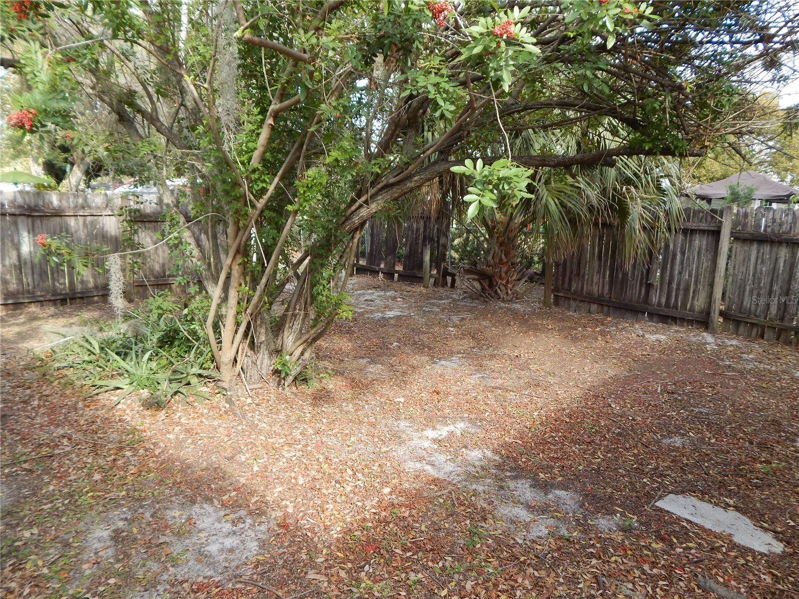 2505 CORAL AVE, KISSIMMEE, FL — photo 24