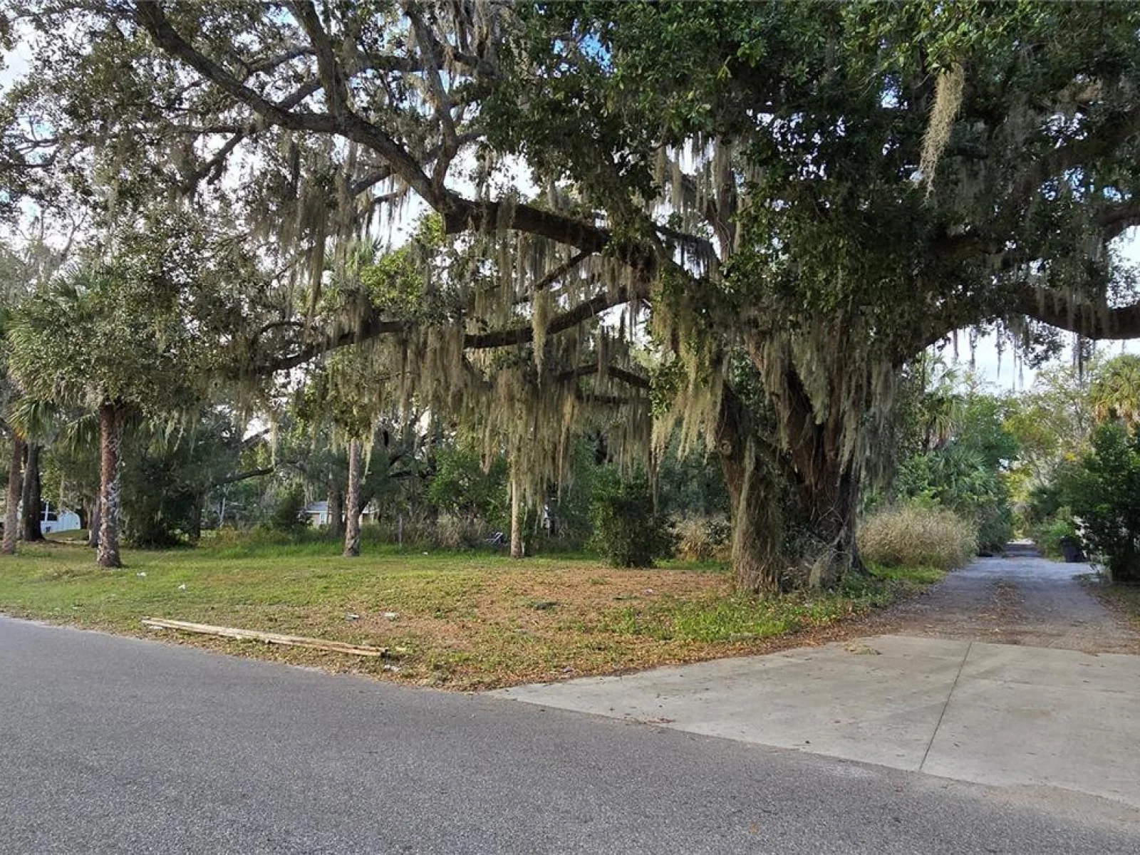 E 11TH ST, SANFORD, FL — photo 8