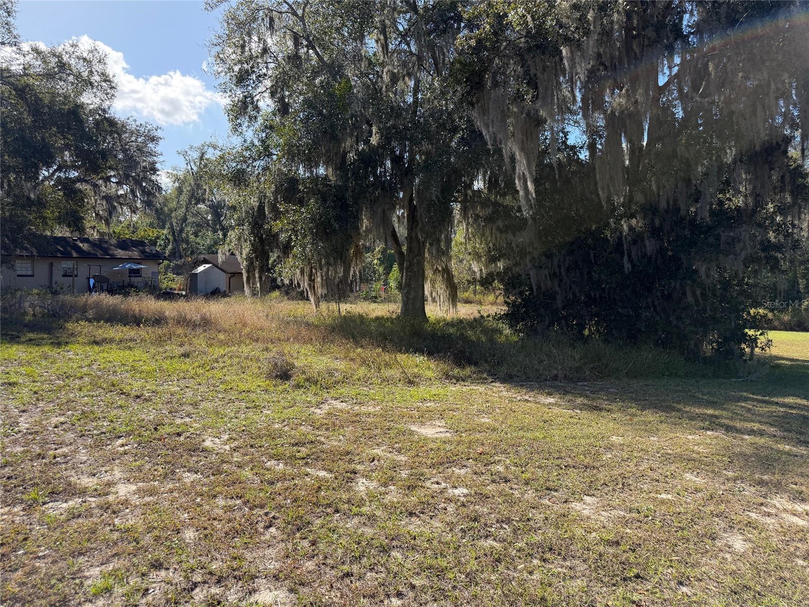 MOHAWK ST, MASCOTTE, FL — photo 3