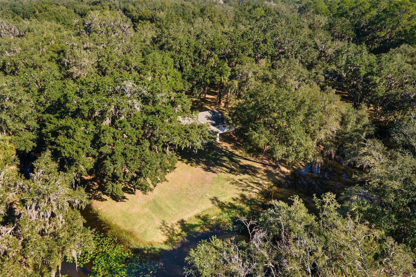 7938 JACKSONS RIVER RD, LEESBURG, FL — photo 83