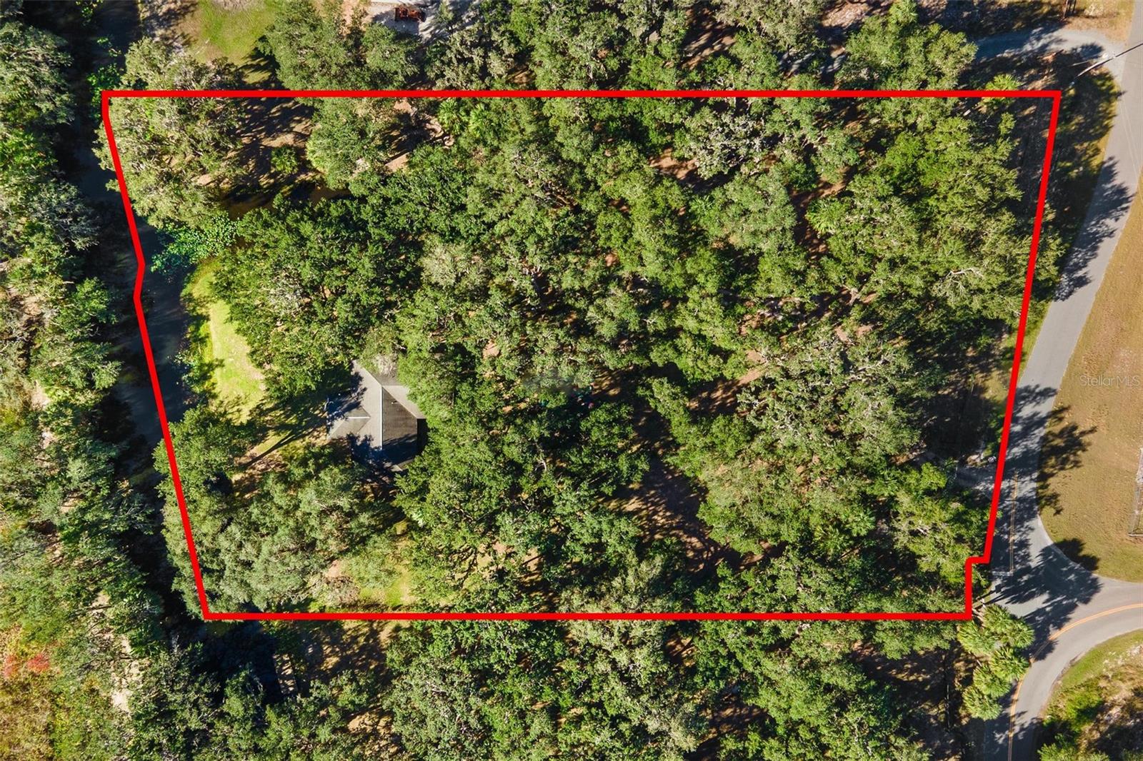 7938 JACKSONS RIVER RD, LEESBURG, FL — photo 85