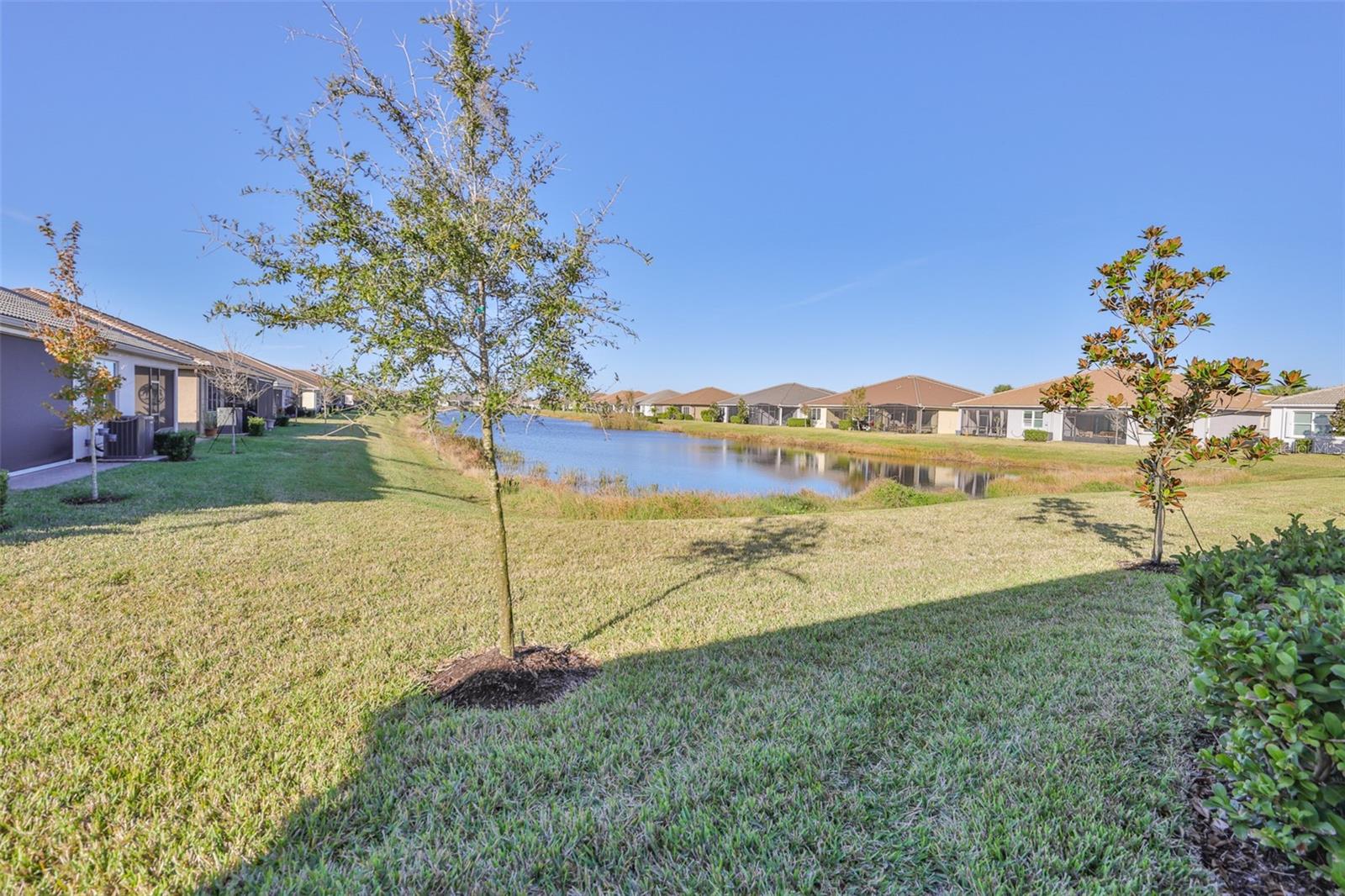 4906 AVILA LAKES DR, WIMAUMA, FL — photo 39
