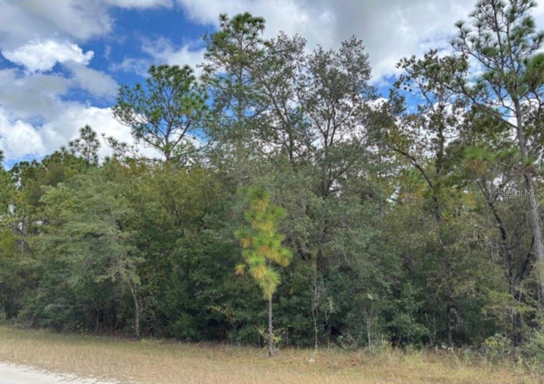 Lot 19 CANYON SWALLOW RD, WEEKI WACHEE, FL — photo 2