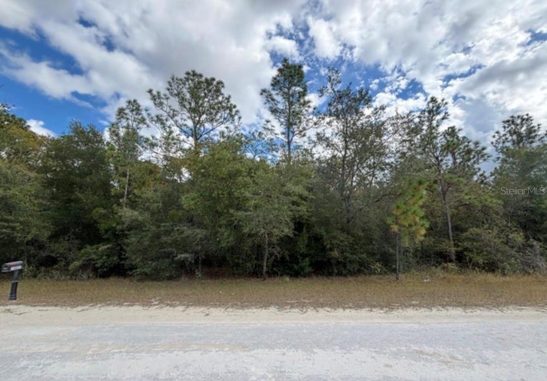 Lot 19 CANYON SWALLOW RD, WEEKI WACHEE, FL — photo 3