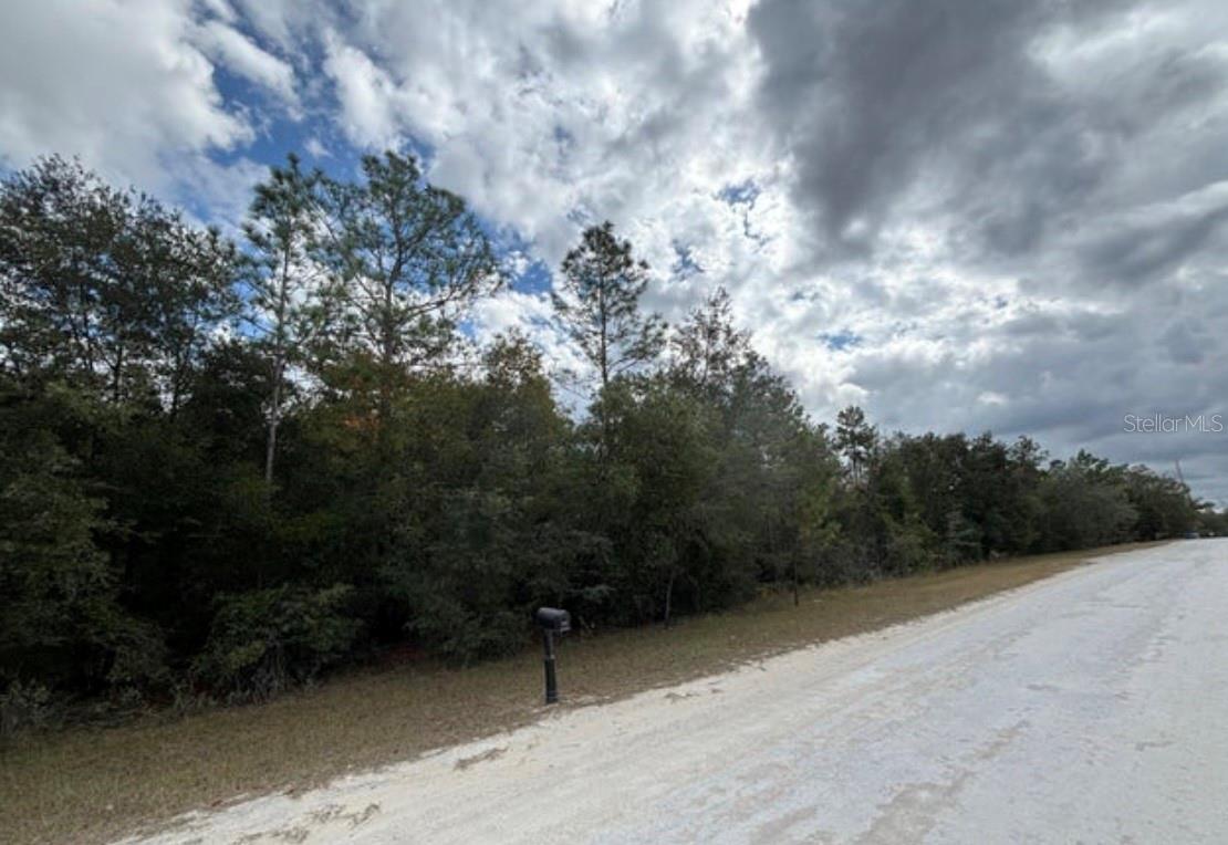 Lot 19 CANYON SWALLOW RD, WEEKI WACHEE, FL — photo 4