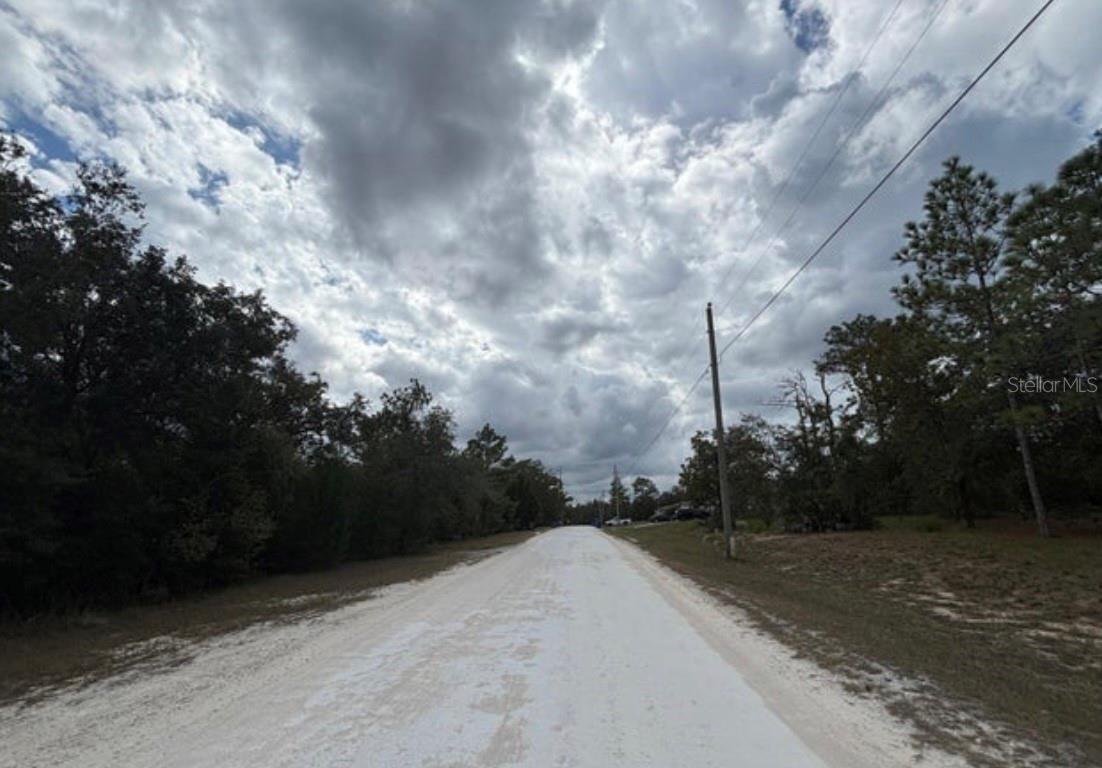 Lot 19 CANYON SWALLOW RD, WEEKI WACHEE, FL — photo 5