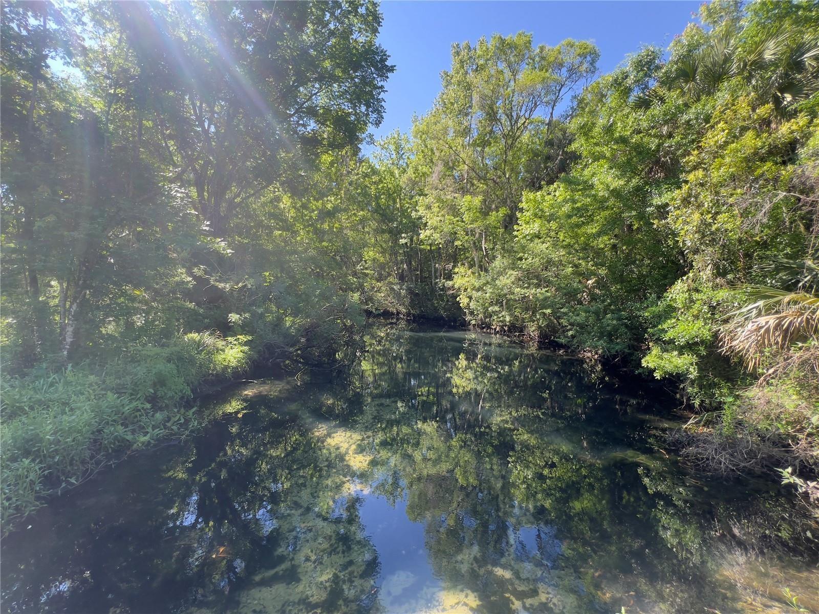 332 NW CRYSTAL ST, CRYSTAL RIVER, FL — photo 9