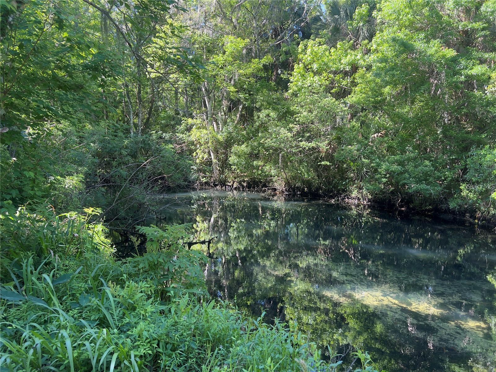 332 NW CRYSTAL ST, CRYSTAL RIVER, FL — photo 12