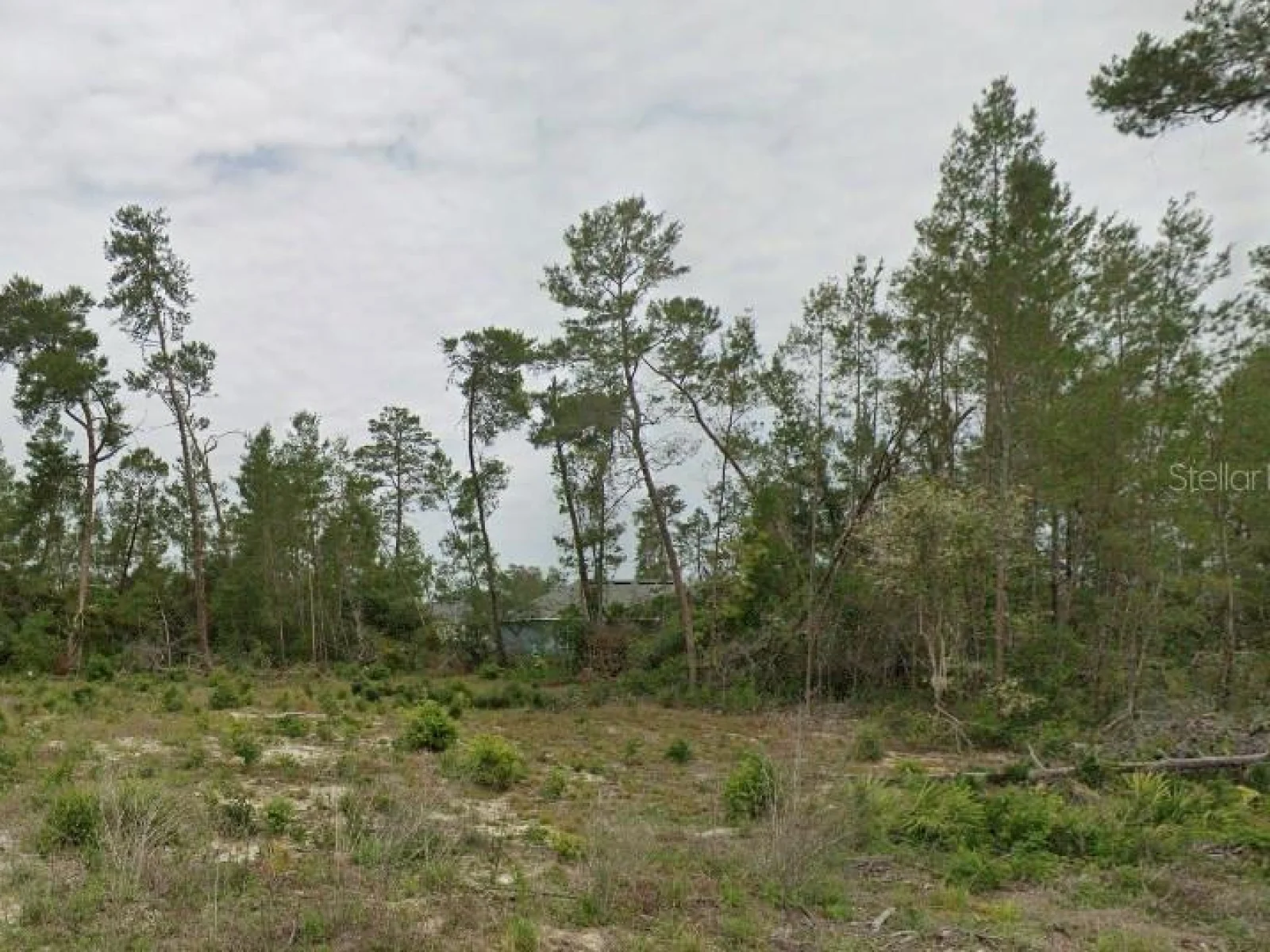 TBD SW 30TH AVE RD, OCALA, FL — photo 1