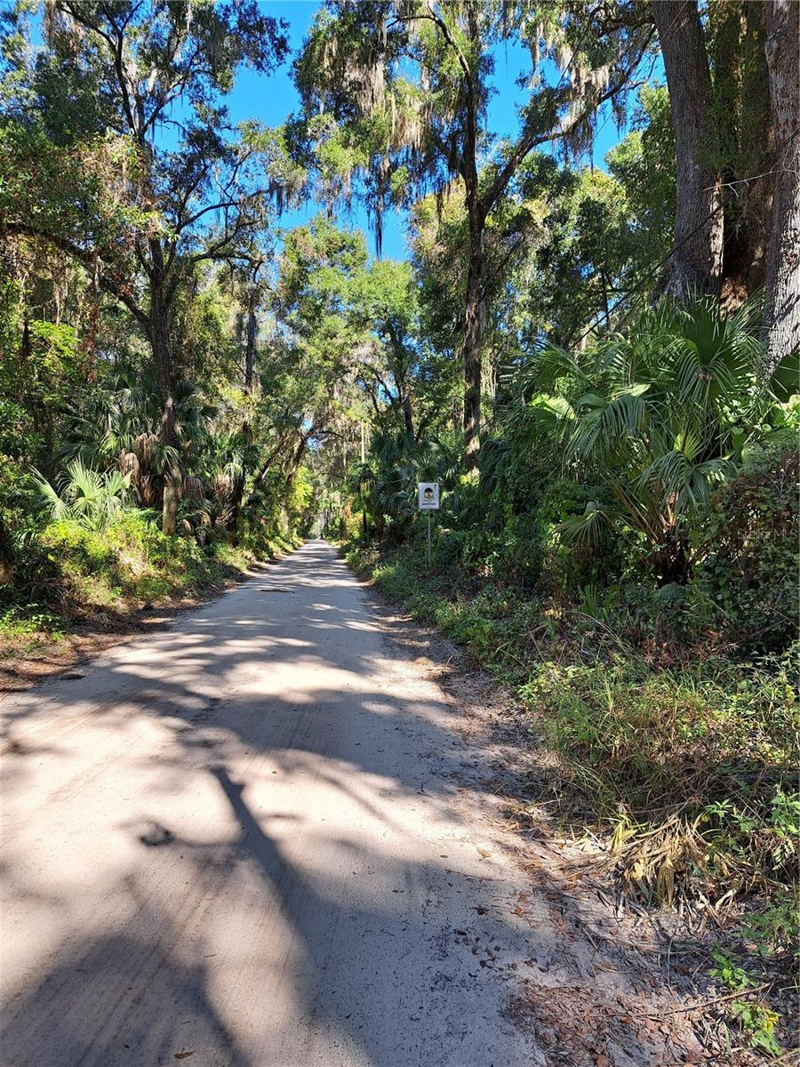 0 SW 56TH AVE, GAINESVILLE, FL — photo 3