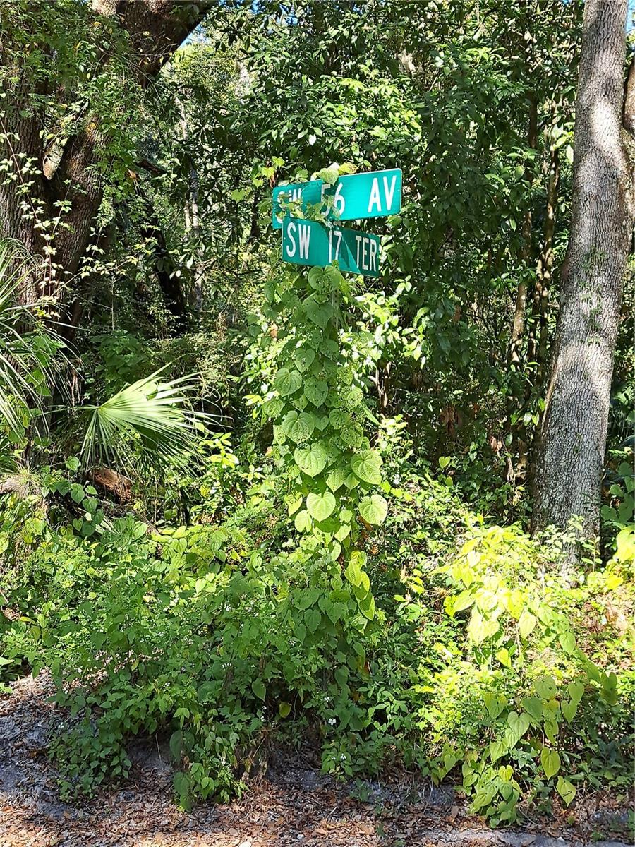0 SW 56TH AVE, GAINESVILLE, FL — photo 5
