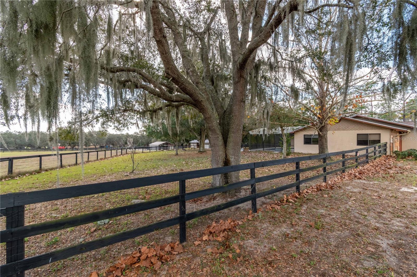 2902 MARION COUNTY ROAD, WEIRSDALE, FL — photo 59