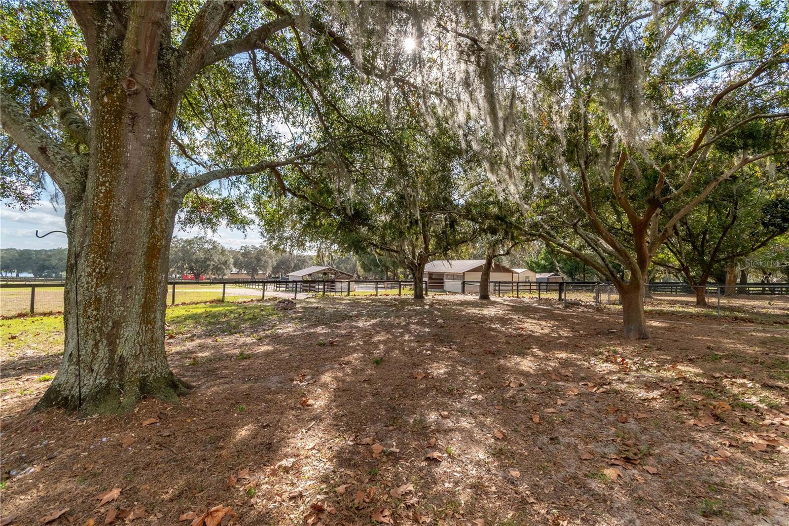 2902 MARION COUNTY ROAD, WEIRSDALE, FL — photo 61