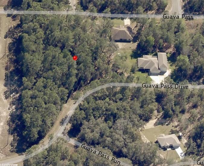 Lot 26 GUAVA PASS DR, OCKLAWAHA, FL — photo 4
