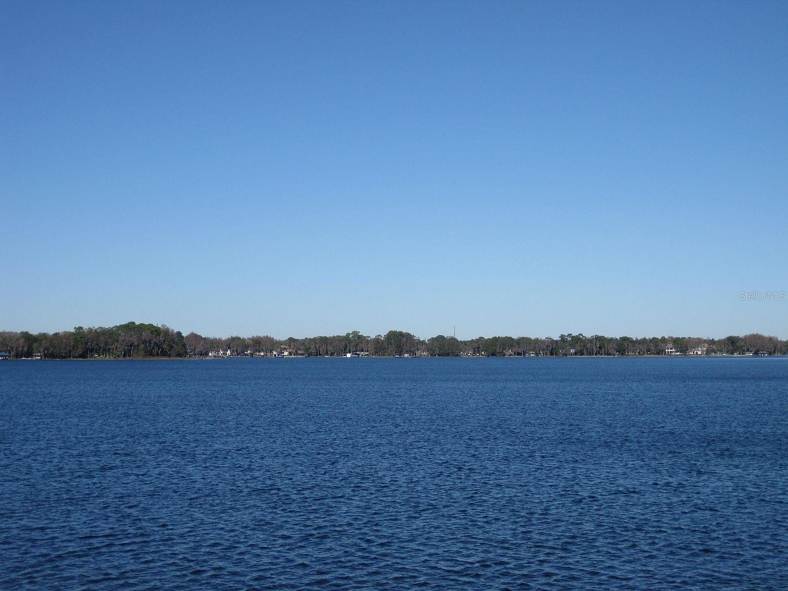 18620 WAYNE RD, ODESSA, FL — photo 6