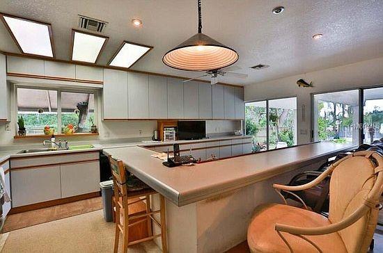 18620 WAYNE RD, ODESSA, FL — photo 14