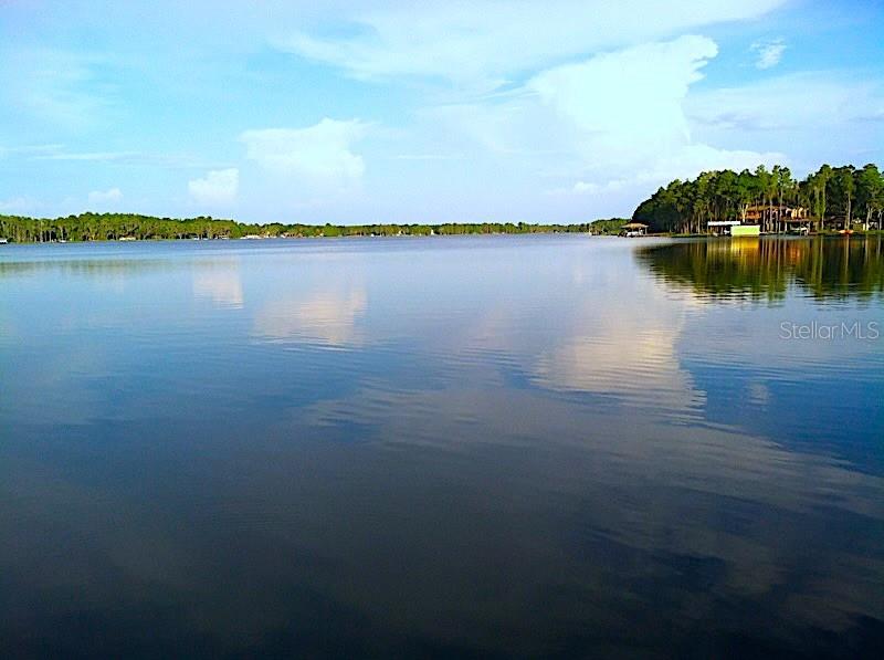 18620 WAYNE RD, ODESSA, FL — photo 5